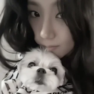 🐶 emoji jisoo Telegram sticker 8 of 38