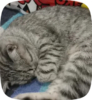 ☺ emoji LeersTugKerbs Telegram sticker 17 of 20