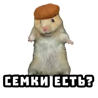 🌻 emoji Хомяки @stickernayaa Telegram sticker 14 of 25