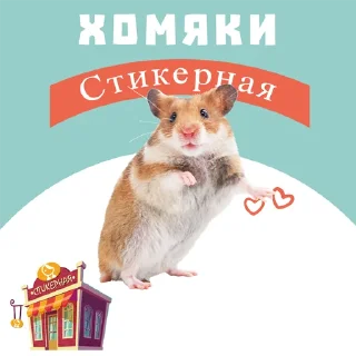 Sticker from Хомяки @stickernayaa