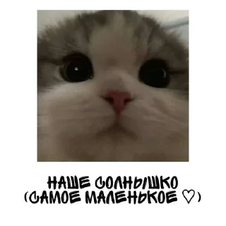 🌟 emoji Один день из жизни Юмикса Telegram sticker 9 of 15