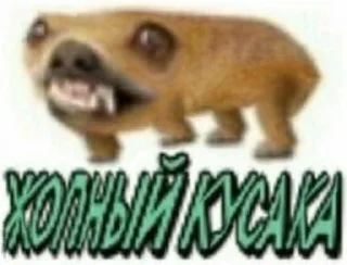 🌟 emoji ТЫ ЧЕ ГОВНА СОЖРАЛ Telegram sticker 5 of 76
