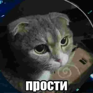 🌟 emoji Кабан Telegram sticker 22 of 43