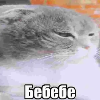 🌟 emoji Кабан Telegram sticker 24 of 43