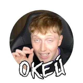 👌 emoji рыжий кабан Telegram sticker 14 of 84
