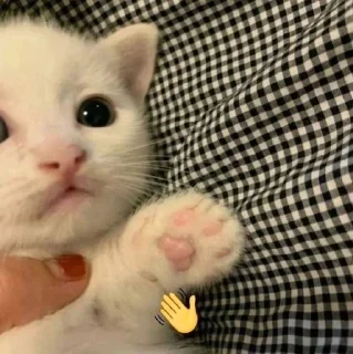 👋 emoji я вахуе Telegram sticker 19 of 120