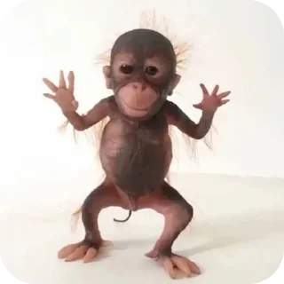 ❤ emoji шаболда Telegram sticker 9 of 41