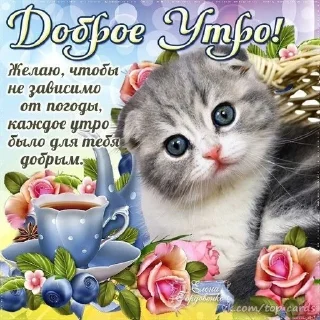 👋 emoji утро и ночь Telegram sticker 7 of 119