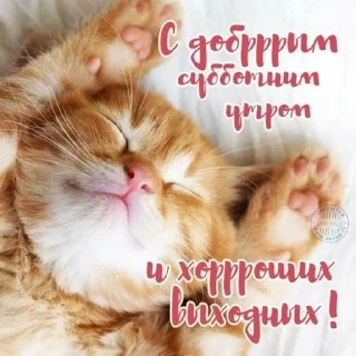 👋 emoji утро и ночь Telegram sticker 10 of 119