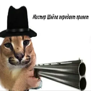 🔫 emoji 4 ночи с котами мемами Telegram sticker 19 of 64