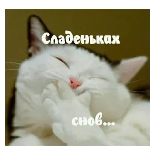 💟 emoji Спокойной ночи Telegram sticker 9 of 10