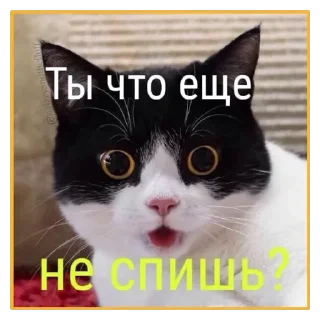 💟 emoji Спокойной ночи Telegram sticker 8 of 10