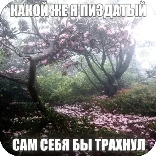 🫥 emoji Пенис Telegram sticker 15 of 22