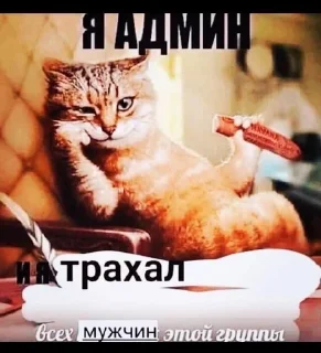 🌟 emoji Нефор сквад эээ Telegram sticker 24 of 61