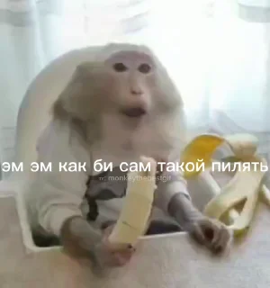 🌟 emoji Манки от Vlaixxm Telegram sticker 11 of 120