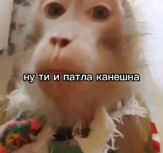 🌟 emoji Манки от Vlaixxm Telegram sticker 22 of 120