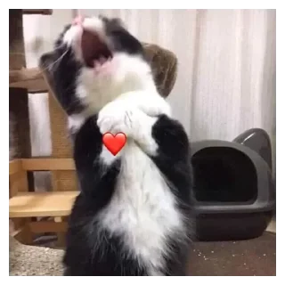 💟 emoji кусь Telegram sticker 7 of 30