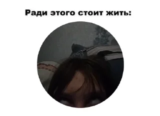 🌟 emoji Мел хуеплет Telegram sticker 12 of 50