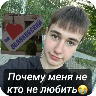 😭 emoji Никитка @TgEmodziBot Telegram sticker 13 of 38