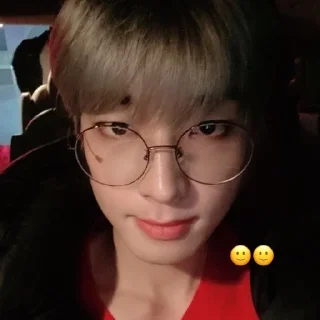 🐈‍⬛ emoji wonwoo @stckheavn Telegram sticker 12 of 15