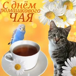 ☕️ emoji С днем 2 ... Telegram sticker 19 of 53