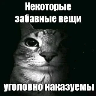 🙈 emoji БОЛЬШЕ ⇨ @CLOOBHUB МЕМЫ MEMES TG ТГ ДЖОДЖО JOJO Telegram sticker 22 of 32