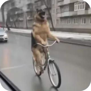 🚲 emoji БОЛЬШЕ ⇨ @CLOOBHUB МЕМЫ MEMES TG ТГ ДЖОДЖО JOJO Telegram sticker 11 of 32