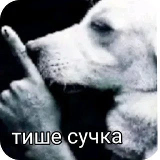 🖼 emoji БОЛЬШЕ ⇨ @CLOOBHUB МЕМЫ MEMES TG ТГ ДЖОДЖО JOJO Telegram sticker 5 of 32