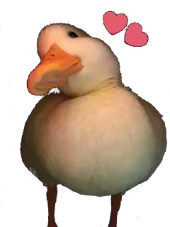 💗 emoji викуля лучшая Telegram sticker 17 of 54