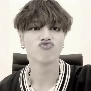 🤍 emoji WooyoungAtiny Telegram sticker 24 of 41