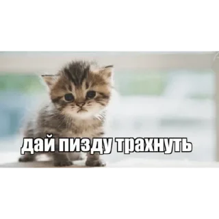 😟 emoji пезда Telegram sticker 9 of 40