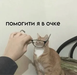 🌟 emoji Работаем, друзья Telegram sticker 13 of 51