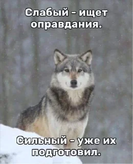 Sticker from На случай важных переговоров