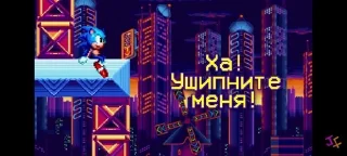 🌟 emoji Соник я не Даганяю Telegram sticker 15 of 15