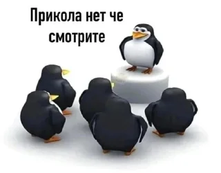 🙃 emoji Тест Telegram sticker 11 of 25