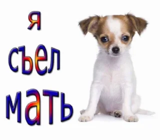 🙈 emoji Пон - созд @zxcnedoter Telegram sticker 21 of 24