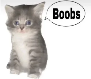 🥳 emoji meow Telegram sticker 8 of 65