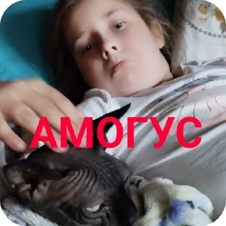 🌟 emoji Пейса шоп Telegram sticker 6 of 41