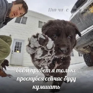 😍 emoji Доброе утро))) Telegram sticker 15 of 29
