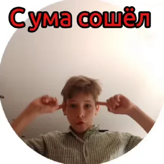 🌟 emoji Тимур Шенкевич Telegram sticker 13 of 21