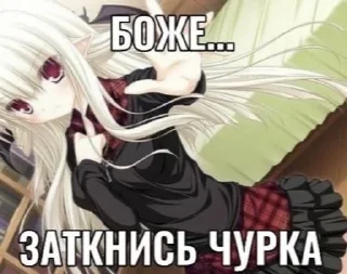 Sticker from к ногам наи пес