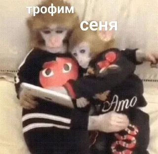 🫶 emoji сеня чмо Telegram sticker 12 of 18