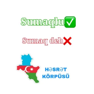 😄 emoji Ramin Türkoğlu🇦🇿🇹🇷 Telegram sticker 17 of 57