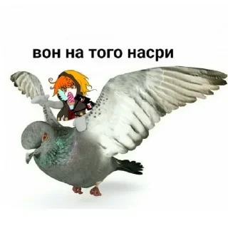 Sticker from Рио чроотл