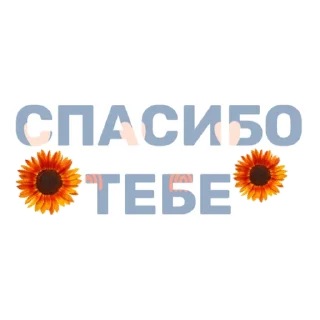 😉 emoji Стикеры от канала @topchikstory Telegram sticker 17 of 38