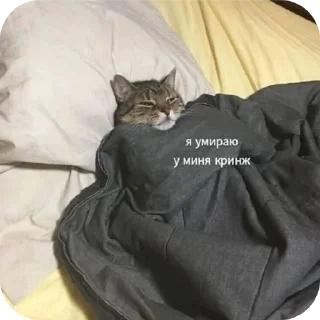 🙂 emoji Стикер пак богемы Telegram sticker 18 of 35
