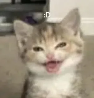 🤩 emoji котики @sinnette Telegram sticker 17 of 120