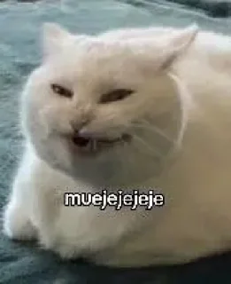 🤩 emoji котики @sinnette Telegram sticker 19 of 120