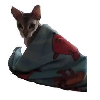 😐 emoji Лексус Telegram sticker 7 of 15