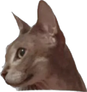 Sticker from Лексус